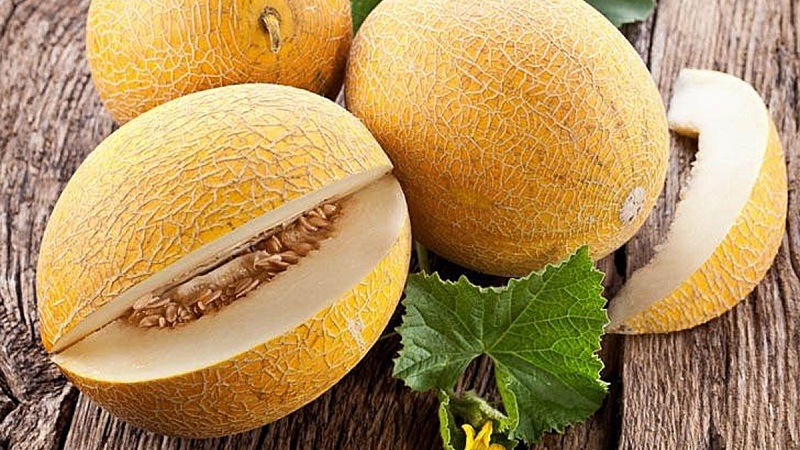 Le melon est une baie, un fruit ou un légume