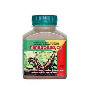 Comment se débarrasser une fois pour toutes des cuillères sur les tomates?