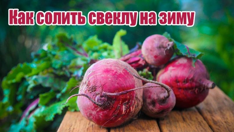 Comment saler les betteraves rapidement et savoureusement: une recette express pour les invités et des moyens de conserver un légume pour l'hiver