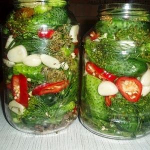 Recettes de concombres aux pommes pour l'hiver: nous cuisinons délicieusement et roulons correctement