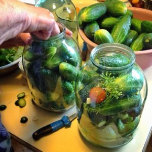 Recettes de concombres aux pommes pour l'hiver: nous cuisinons délicieusement et roulons correctement