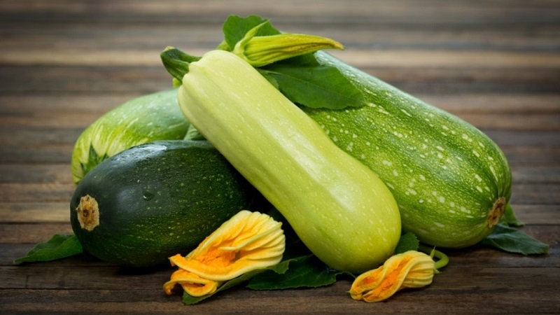Collations d'hiver originales à faire soi-même: comment saler les courgettes - 12 recettes les plus délicieuses