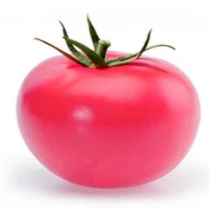 Tomates Pandarosa sucrées, grosses et très parfumées - décoration de jardin