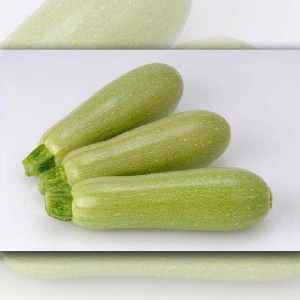Les meilleures variétés de courgettes en pleine terre: une photo avec une description, des conseils pour choisir