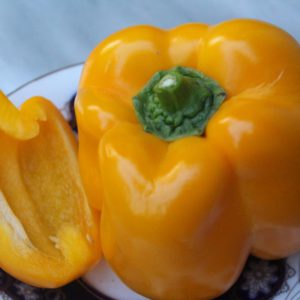 L'un des meilleurs types de poivrons - Golden Calf: un aperçu de la variété et de ses caractéristiques