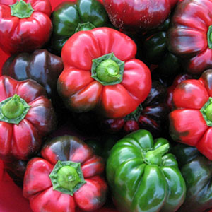 Comment faire cuire le poivre Ratunda avec du miel pour l'hiver: recettes de conservation à la sauce tomate, à l'huile et aux marinades