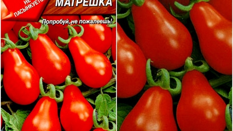Comment faire pousser une tomate Matriochka incroyablement belle et savoureuse sur votre site