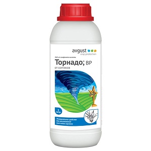 La tomate Titan éprouvée pour la culture en extérieur