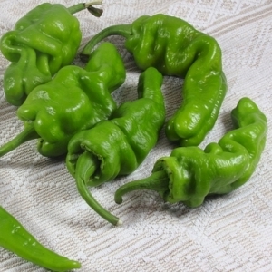 Qu'est-ce que le poivre Dungan et comment peut-il être utilisé