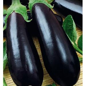 Une variété d'aubergine Almaz relativement nouvelle, mais a réussi à tomber amoureuse des résidents d'été