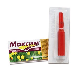 Une variété d'aubergine Almaz relativement nouvelle, mais a réussi à tomber amoureuse des résidents d'été