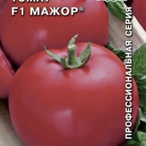 Variété de mi-saison avec fruits, comme sur la photo - tomate major et instructions pour la cultiver en terrain ouvert et fermé