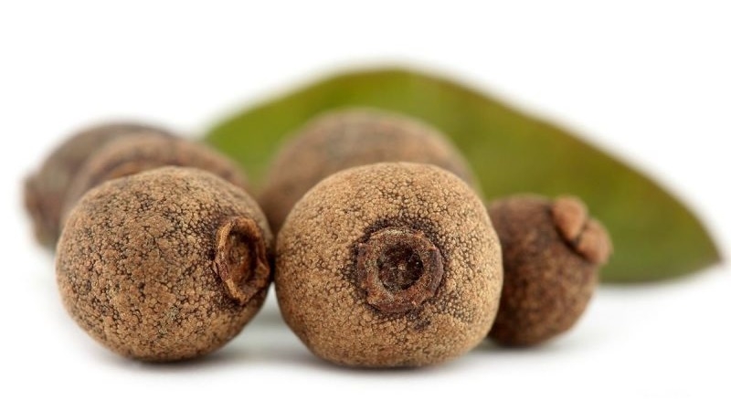 Comment les pois de la Jamaïque poussent dans un environnement naturel et comment le cultiver à la maison