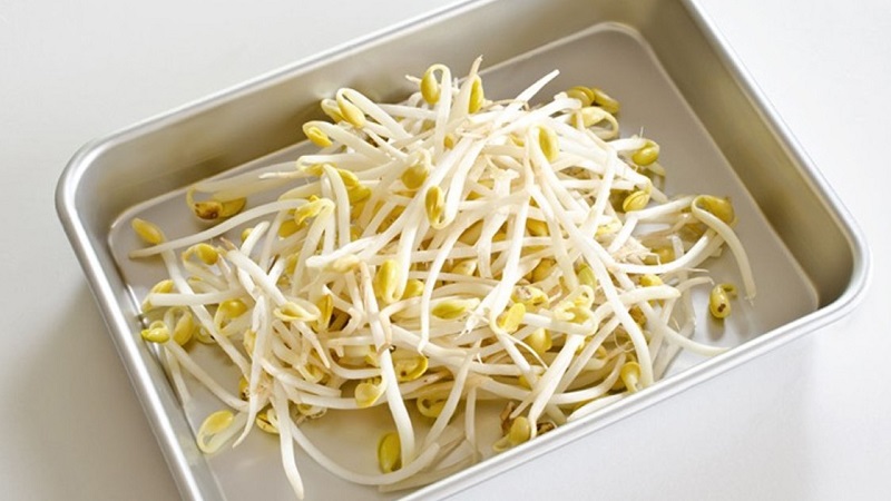Pourquoi les germes de soja sont utiles, comment les faire germer correctement et les cuire délicieusement