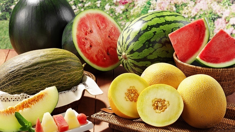 Que planter après une citrouille l'année prochaine: règles de rotation des cultures et recommandations utiles pour dresser les lits