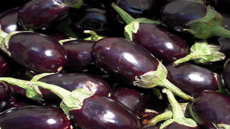 Qu'est-ce qu'une aubergine - est-ce une baie ou un légume: nous le découvrons ensemble et apprenons à connaître la plante de plus près