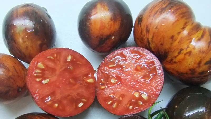 Une variété exotique à l'aspect unique - la tomate Gargamel et les subtilités de sa culture