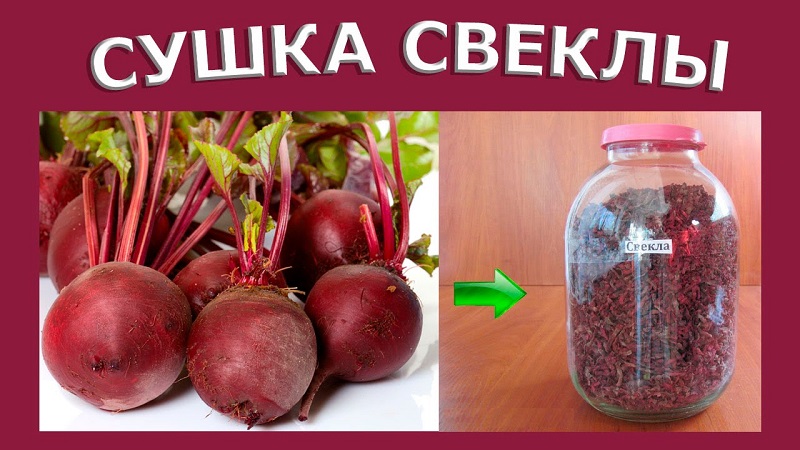 Une préparation intéressante pour l'hiver: nous stockons correctement les betteraves séchées avec les fanes et les utilisons en cuisine