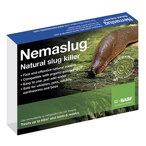 Comment lutter contre les limaces sur les poivrons dans une serre: les méthodes les plus efficaces pour protéger les cultures contre les ravageurs