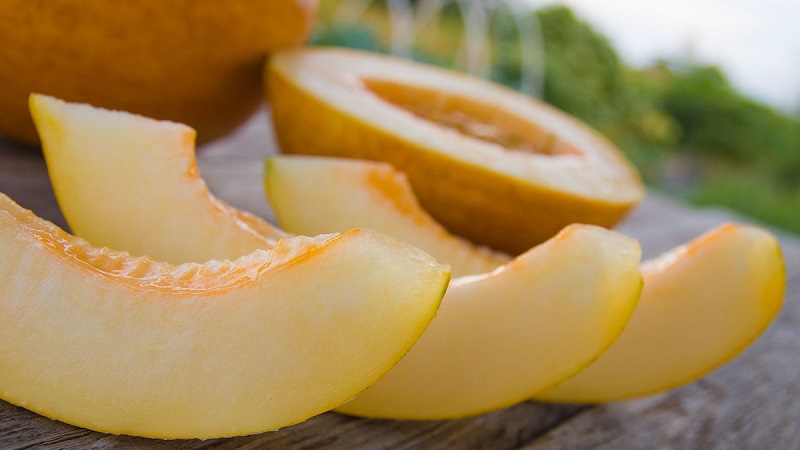 Comment le melon affecte-t-il les intestins: affaiblit ou renforce?