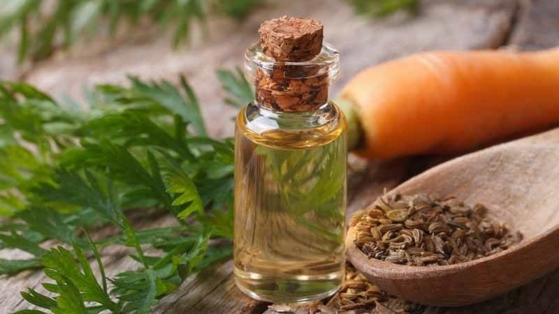 Comment brasser et boire correctement l'aneth pour les reins dans le traitement des maladies urologiques