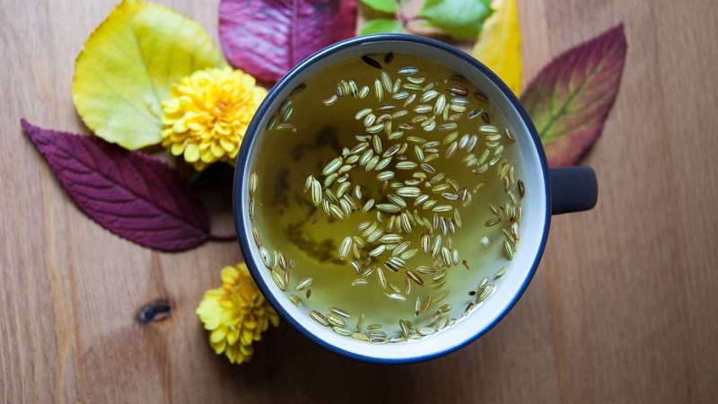 Comment préparer et prendre correctement les graines contre la toux d'aneth pour enfants et adultes