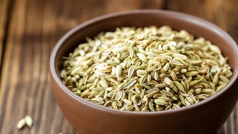 Comment préparer et prendre correctement les graines contre la toux d'aneth pour enfants et adultes