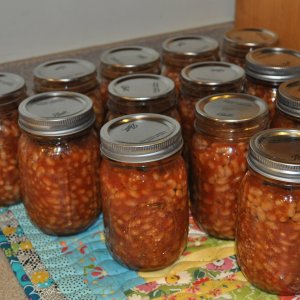 Comment faire cuire des haricots en conserve pour l'hiver: les recettes maison les plus délicieuses