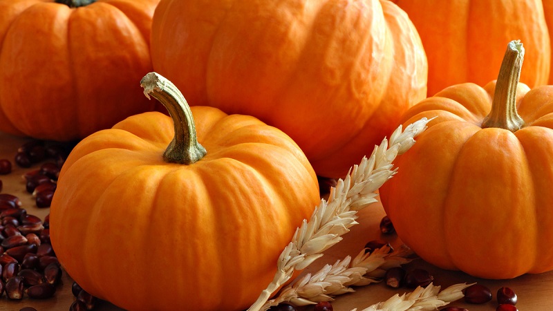 Comment utiliser la citrouille à des fins médicinales pour les ulcères d'estomac?