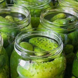 Comment préparer délicieusement les concombres chinois pour l'hiver: recettes et astuces