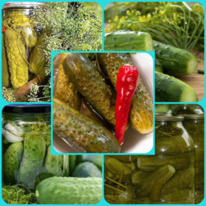 Comment préparer délicieusement les concombres chinois pour l'hiver: recettes et astuces