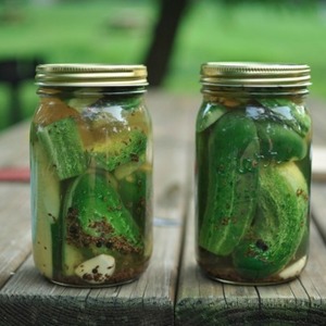 Comment préparer délicieusement les concombres chinois pour l'hiver: recettes et astuces