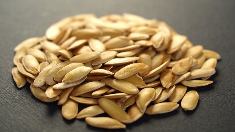 Comment faire pousser un concombre pour les graines et collecter correctement les graines: instructions étape par étape