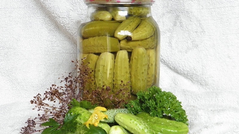 Comment préparer des concombres marinés avec de l'aspirine est simple et délicieux: 7 meilleures recettes