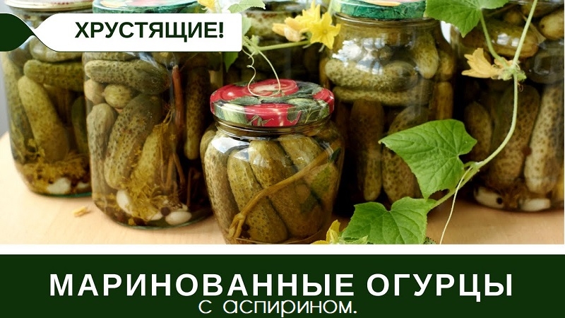 Comment préparer des concombres marinés avec de l'aspirine est simple et délicieux: 7 meilleures recettes