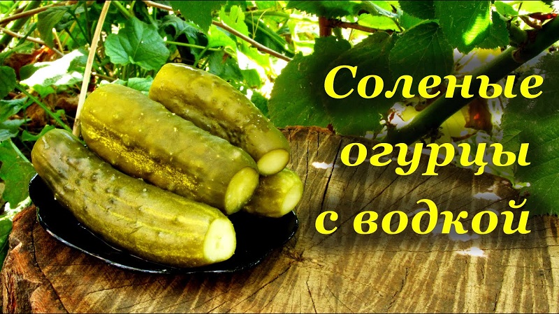 Comment préparer des concombres croustillants avec de la vodka pour l'hiver: recettes et conseils