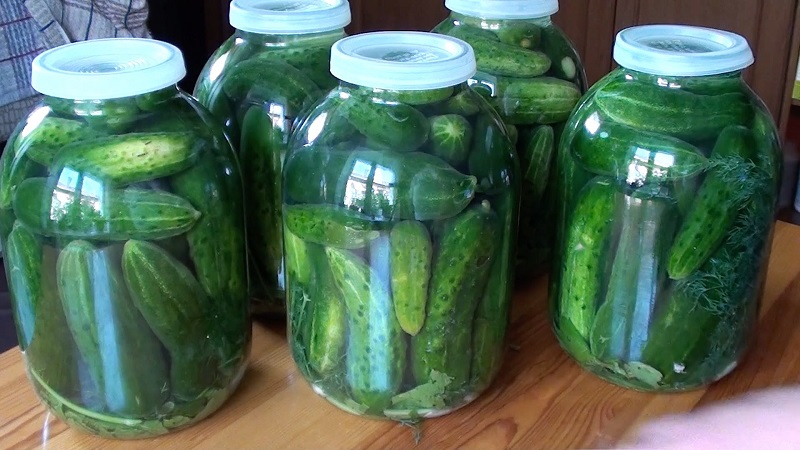 Comment préparer des concombres croustillants avec de la vodka pour l'hiver: recettes et conseils