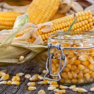 Comment mariner le maïs pour l'hiver à la maison: choisissez correctement les épis et cuisinez selon les meilleures recettes