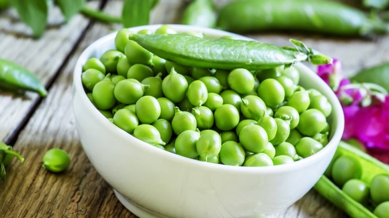 Comment mariner les pois verts pour l'hiver à la maison: les meilleures recettes et recommandations pour conserver les blancs