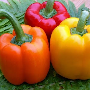 Quelles vitamines sont dans le poivron et comment est-il utile pour le corps