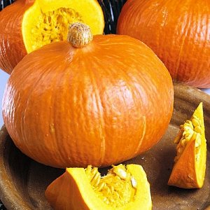 Les meilleures variétés de citrouille pour terrain ouvert avec photos et descriptions