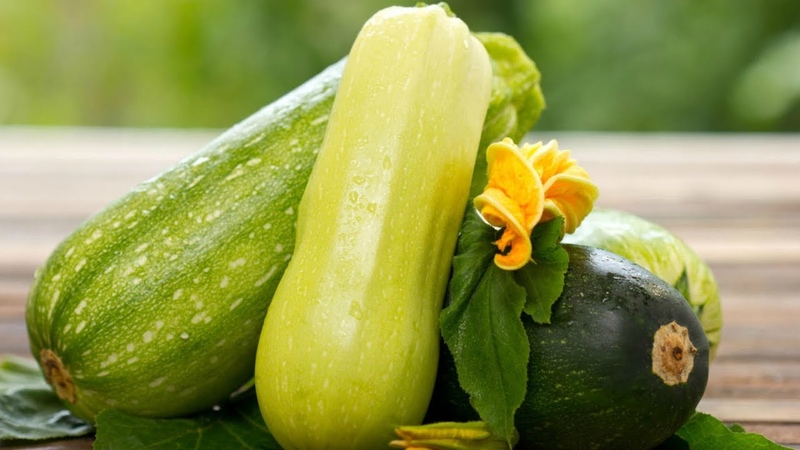 Les avantages et les inconvénients des courgettes pour la santé humaine: combien manger et sous quelle forme, pour ne pas nuire au corps
