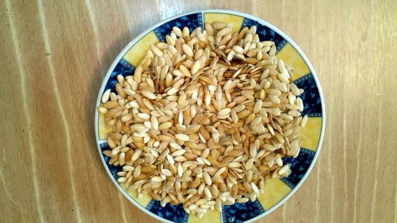 Les avantages et les inconvénients des graines de melon pour le corps