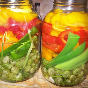 Les avantages et les inconvénients du poivron vert pour la santé des femmes, des hommes et des enfants