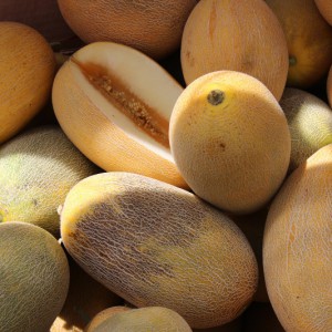 Instructions étape par étape pour choisir le bon melon: conseils utiles et astuces pour trouver les fruits les plus délicieux