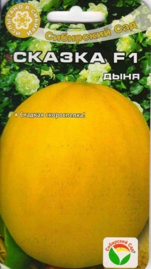 Melon jaune précoce F1 Tale: culture et soin, les nuances de choix lors de l'achat de fruits mûrs