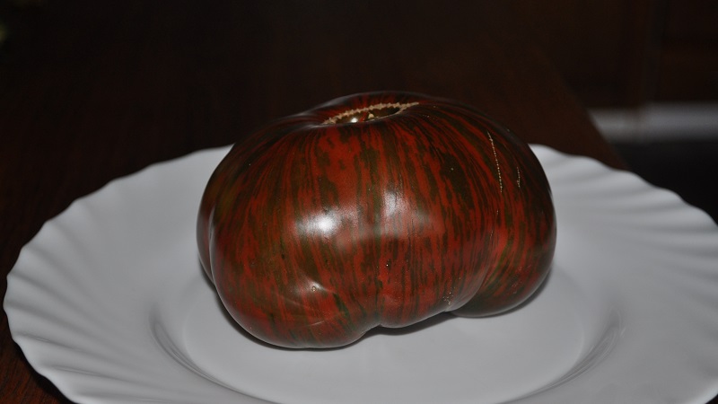 Une variété avec une couleur inhabituelle, un goût unique et un nom appétissant - Chocolat rayé à la tomate