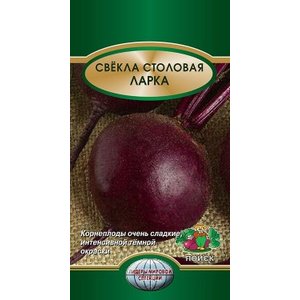 Top 12 des meilleures variétés de betteraves: un aperçu des différents types et des conseils pour choisir la plus appropriée