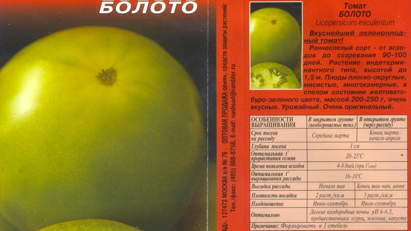 Une étonnante variété de tomates vertes - la tomate des marais pour les vrais gourmets