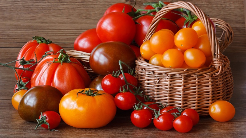 Nous apprendrons à conserver les tomates à la maison et à déguster des fruits frais jusqu'à l'hiver